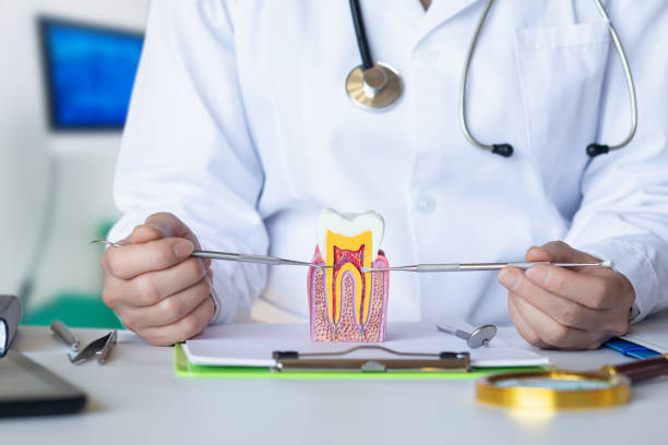 Best Emergency Treatment for Dental Infections or Abscesses in Crescent City, FL